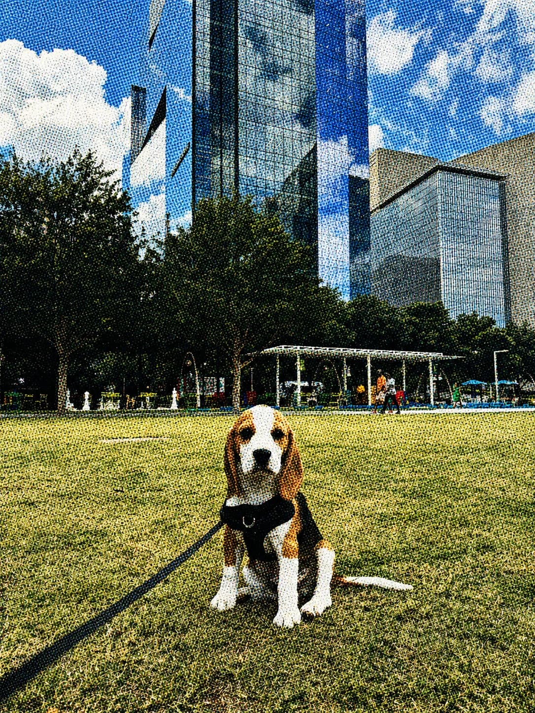Halftone photograph of Doug the beagle in front of the Dallas skyline
